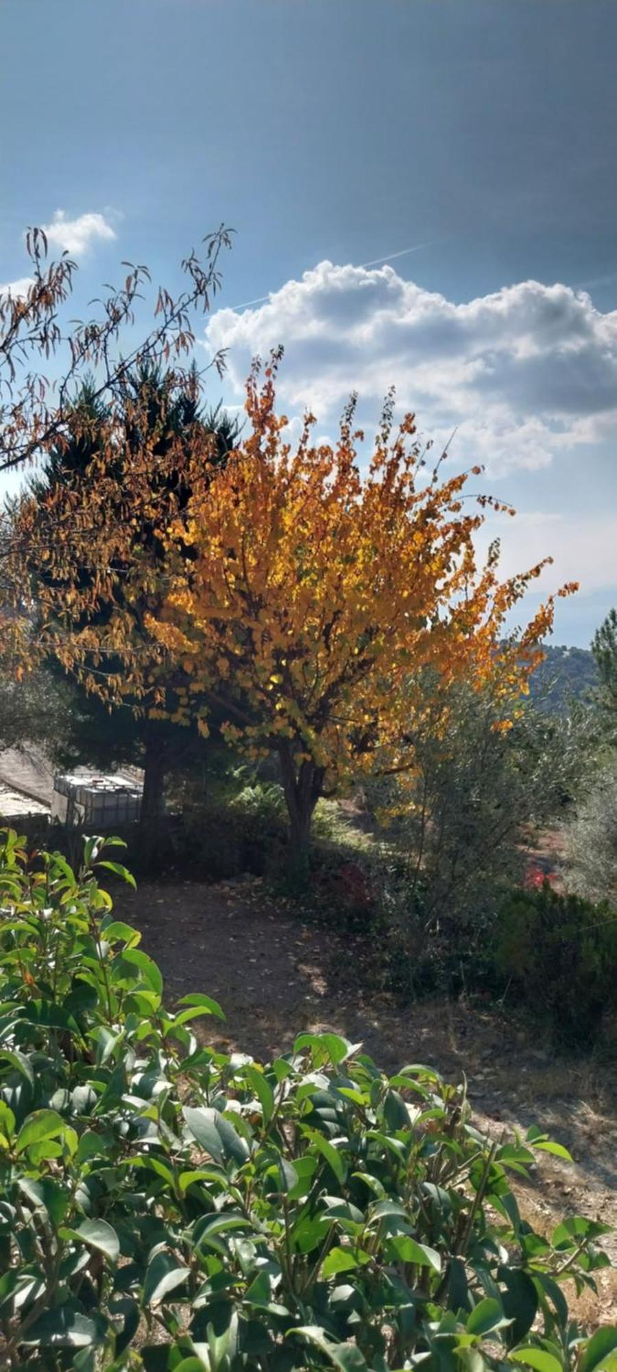 Panorama Afetes Holiday home Afetai